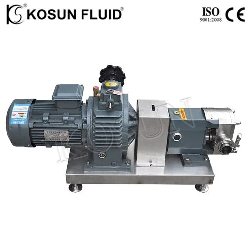 Rotary Lobe Pump